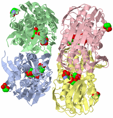 Image Biological Unit 1