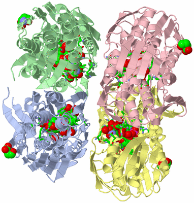 Image Biol. Unit 1 - sites