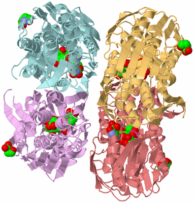 Image Biological Unit 2