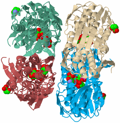 Image Biological Unit 3