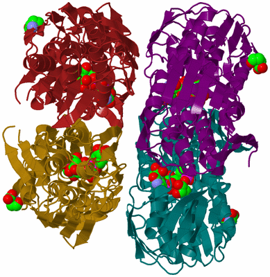 Image Biological Unit 4