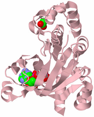 Image Biological Unit 3