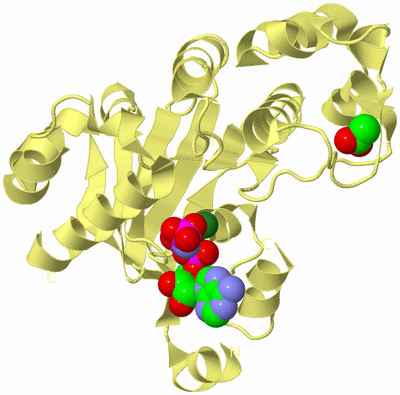 Image Biological Unit 4