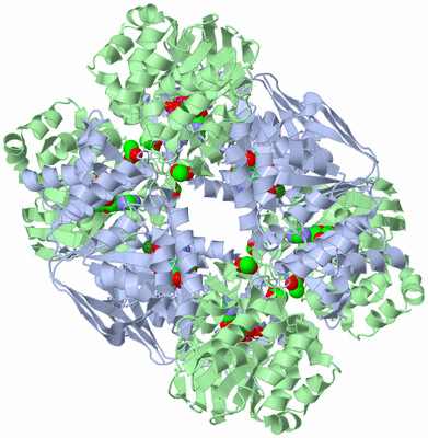 Image Biological Unit 5