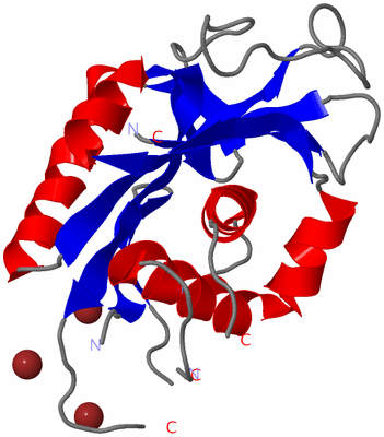 Image Asymmetric Unit