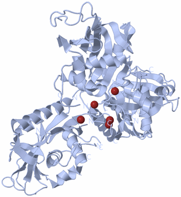 Image Biological Unit 2