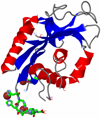 Image Asym. Unit - sites