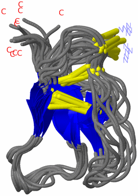 Image NMR Structure - all models