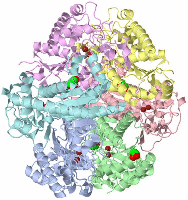 Image Asym./Biol. Unit
