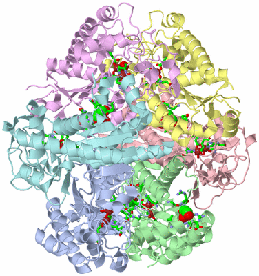 Image Asym./Biol. Unit - sites