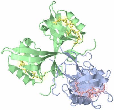 Image Biological Unit 2