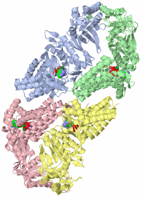 Image Asymmetric Unit