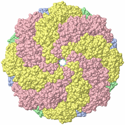 Image Biological Unit 1