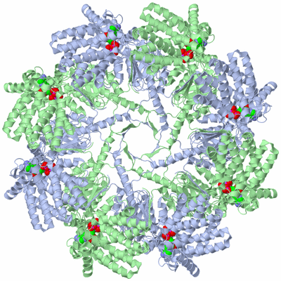 Image Biological Unit 2