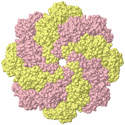 Image Biological Unit 3