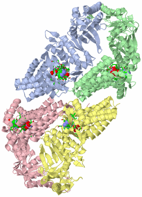 Image Asym. Unit - sites