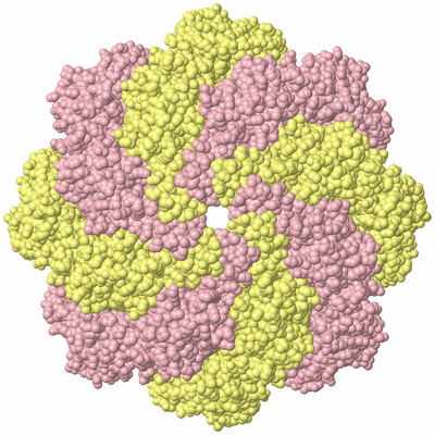 Image Biological Unit 2