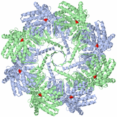 Image Biological Unit 3