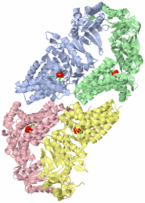 Image Asym. Unit - sites
