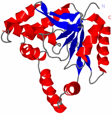 Image NMR Structure - model 1