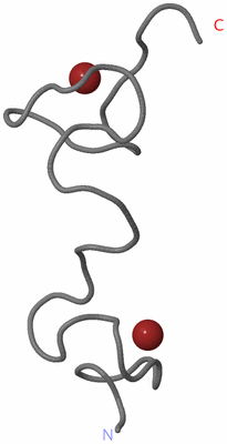 Image NMR Structure - all models