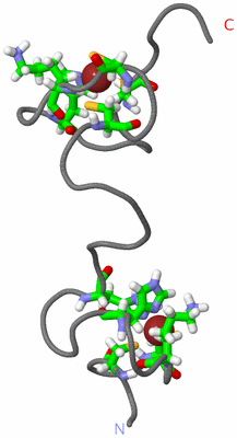 Image NMR Structure - model 1, sites