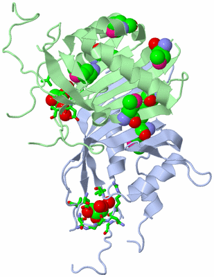 Image Biol. Unit 1 - sites