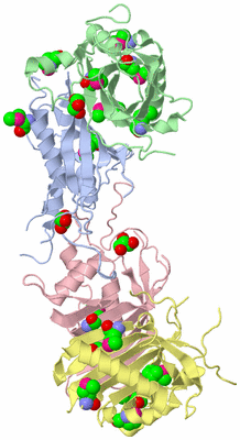 Image Biological Unit 3