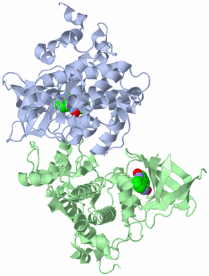 Image Asym./Biol. Unit