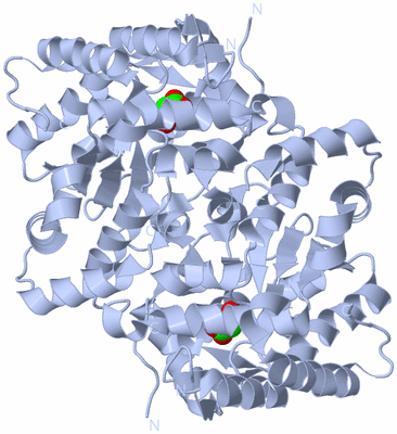 Image Biological Unit 2