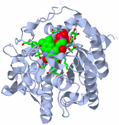 Image Biol. Unit 1 - sites