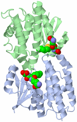 Image Biological Unit 1