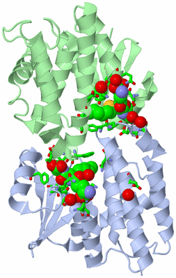 Image Asym. Unit - sites