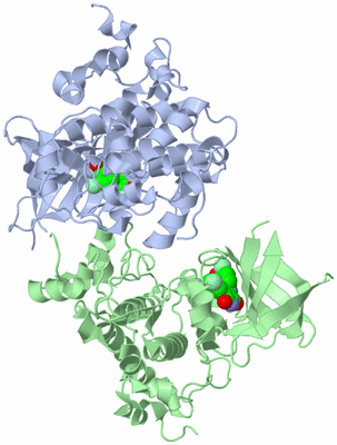 Image Asym./Biol. Unit