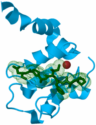 Image Biological Unit 10