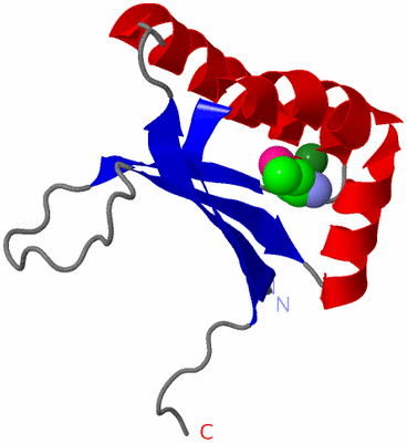 Image Asymmetric Unit