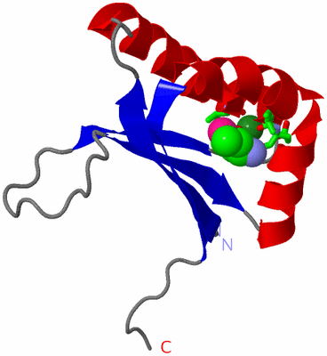 Image Asym. Unit - sites