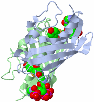 Image Asymmetric Unit