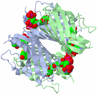 Image Biological Unit 1