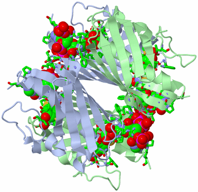 Image Biol. Unit 1 - sites