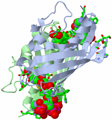 Image Asym. Unit - sites