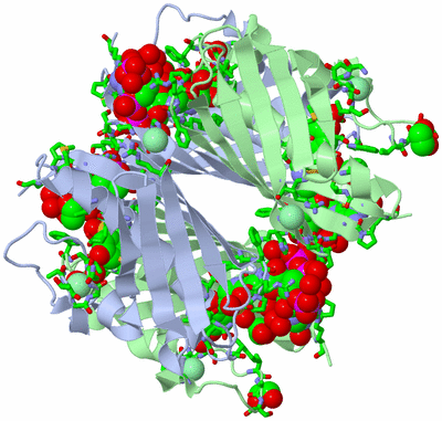 Image Biol. Unit 1 - sites
