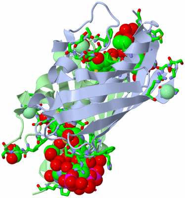 Image Asym. Unit - sites