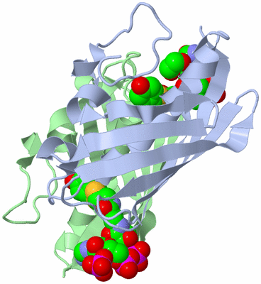 Image Asymmetric Unit