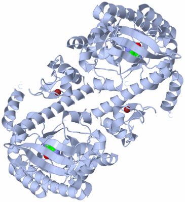 Image Biological Unit 2