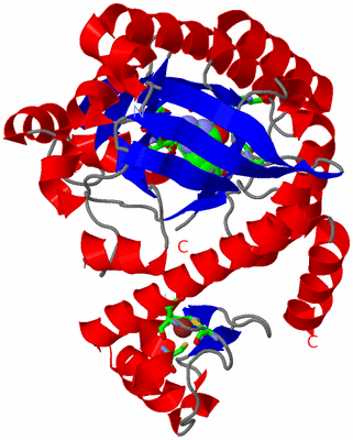 Image Asym. Unit - sites