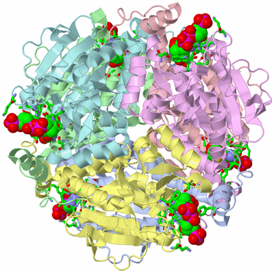 Image Biol. Unit 1 - sites