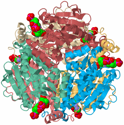 Image Biological Unit 2