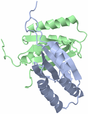 Image NMR Structure - model 1