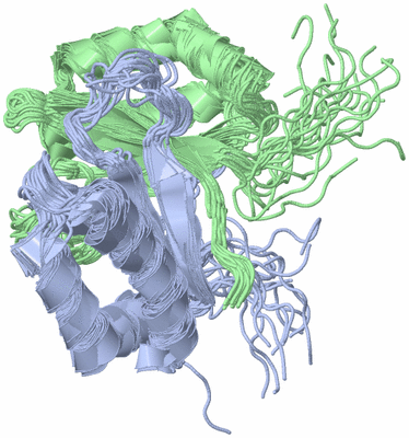 Image NMR Structure - all models